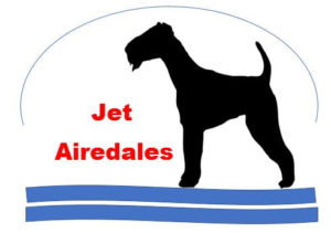 Jet Airedales