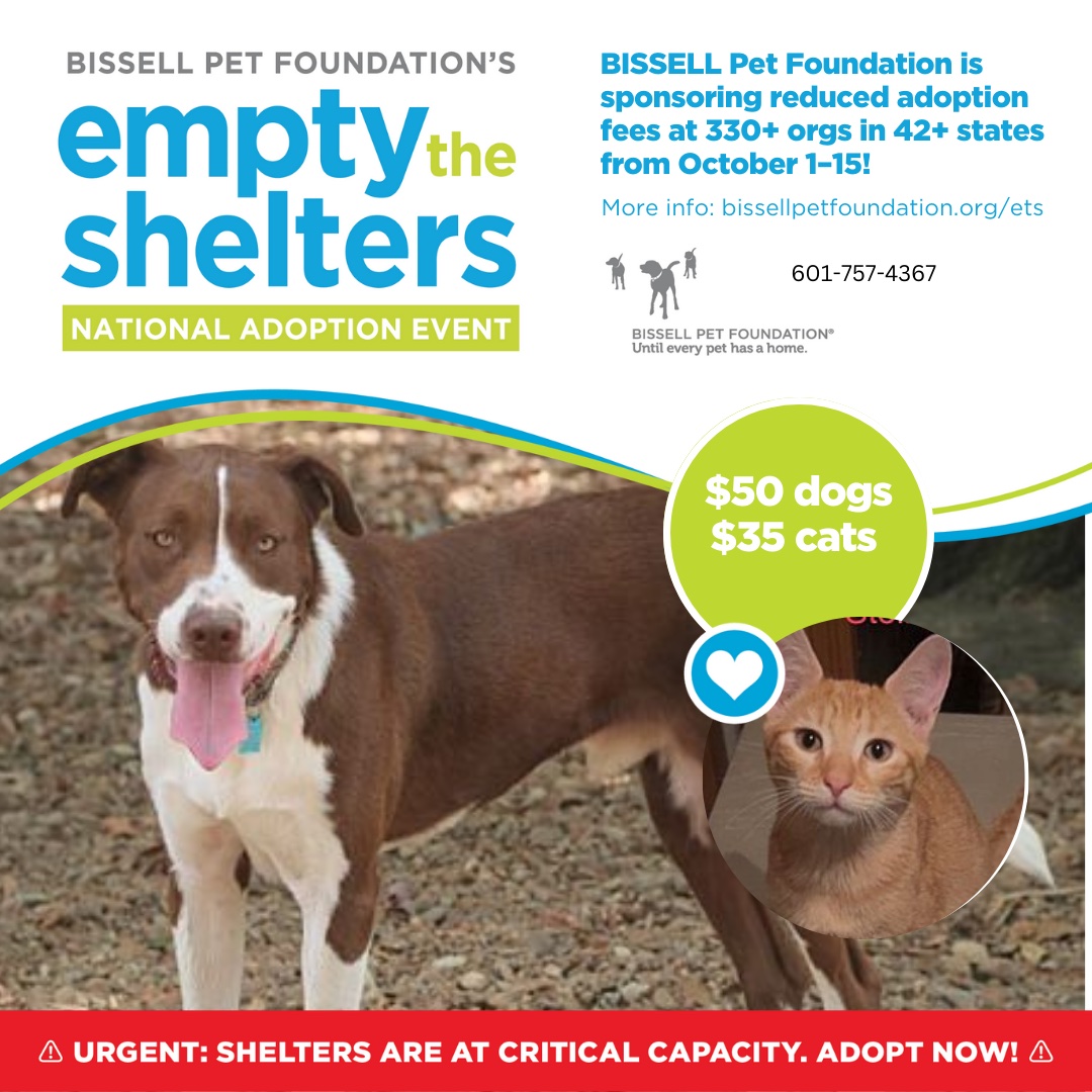 Brookhaven Animal Rescue League – Brookhaven Animal Rescue League