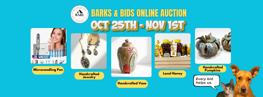 BARK & BIDS 2026 (Facebook Cover)